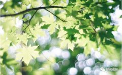 女子正在测验竣事后十分兴奋